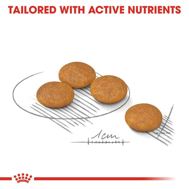 Royal Canin Mini Dermacomfort Dry Dog Food – 3kg - Pet Supply